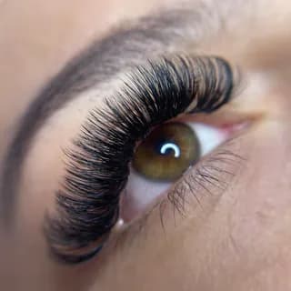 Lash Extension Services